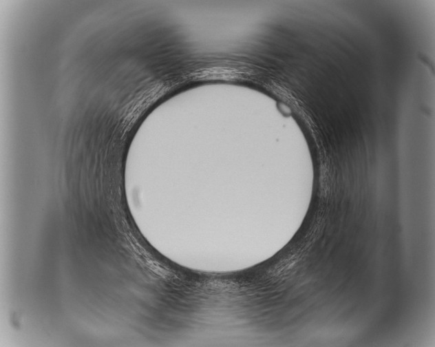 X0000100320529200806261228