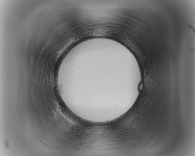 X0000100320530200806261228