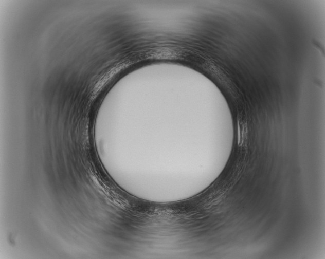 X0000100320531200806261228