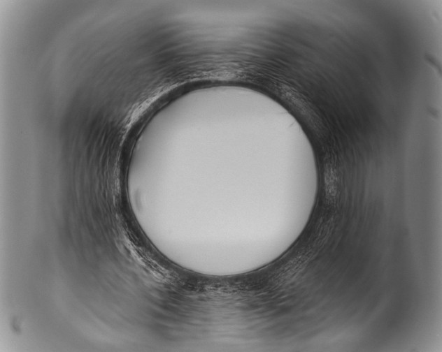 X0000100320532200806261228