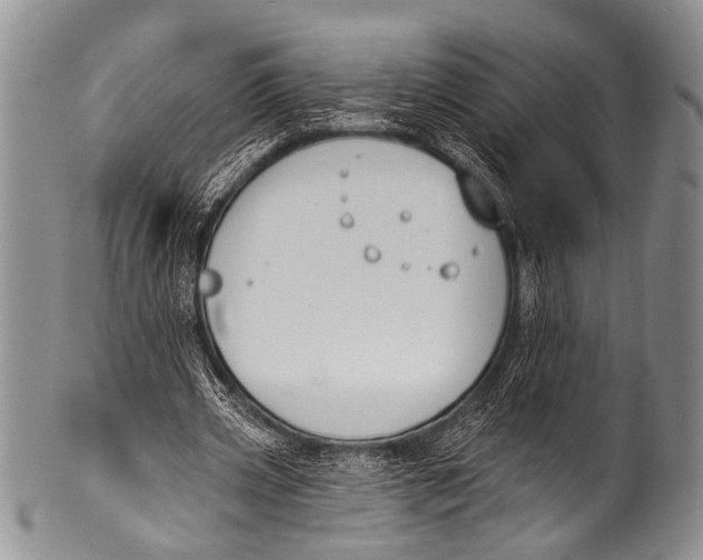 X0000100320533200806261228