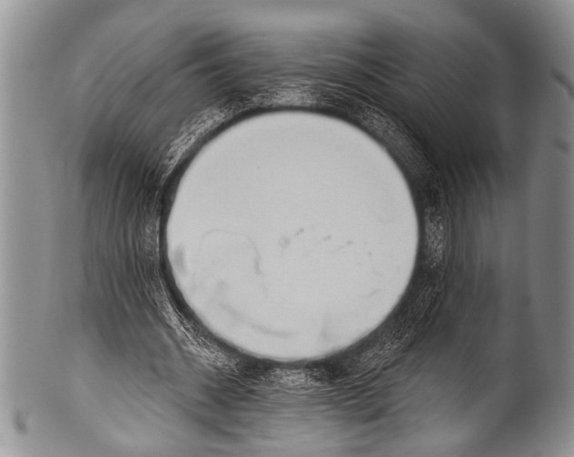 X0000100320534200806261228