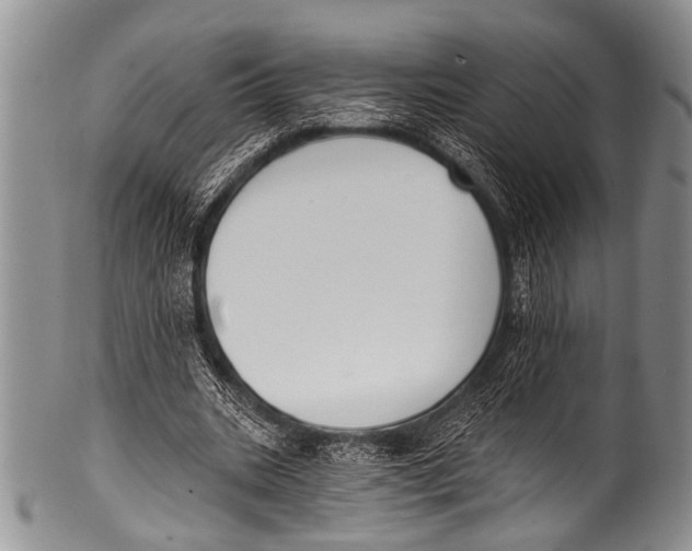 X0000100320535200806261228