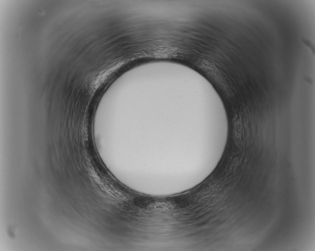 X0000100320536200806261228