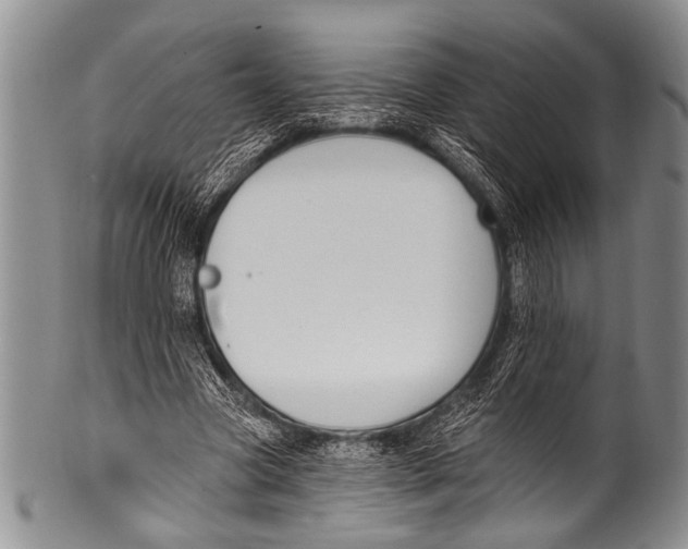 X0000100320537200806261228