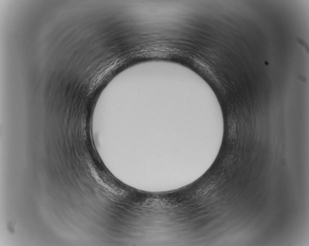 X0000100320538200806261228