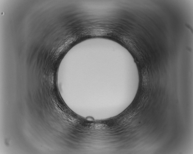 X0000100320539200806261228