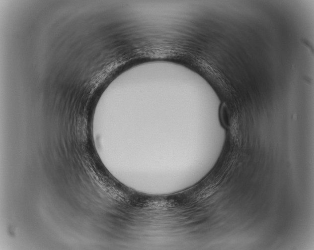 X0000100320540200806261228