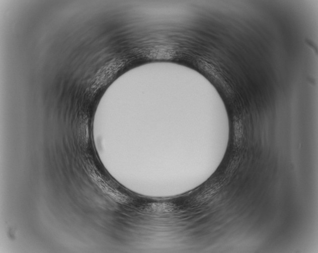 X0000100320541200806261228