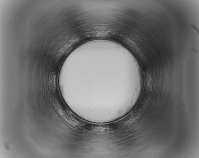 X0000100320542200806261228