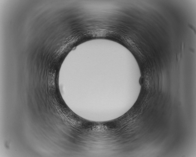 X0000100320543200806261228