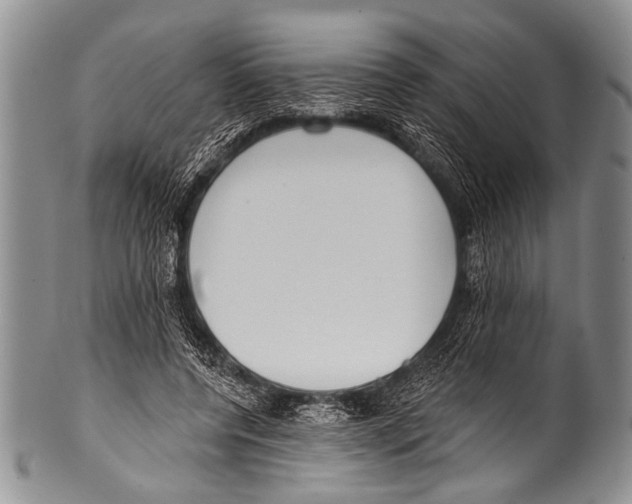 X0000100320544200806261228