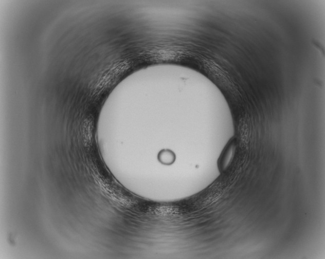 X0000100320546200806261229