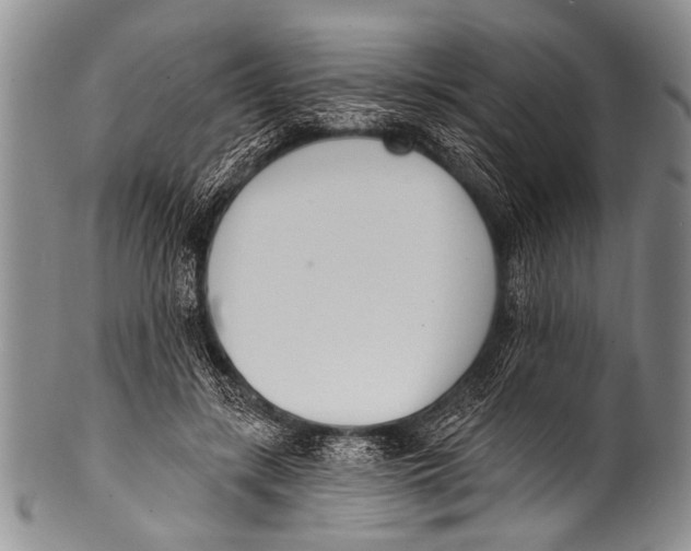 X0000100320547200806261229