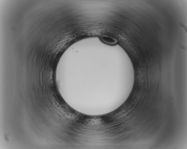 X0000100320548200806261229