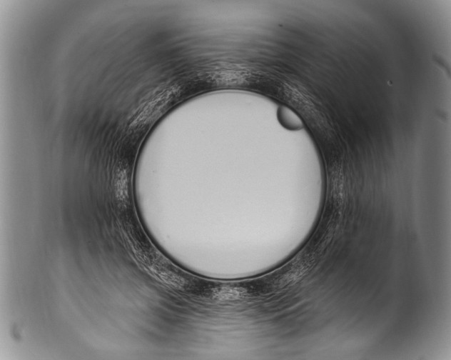 X0000100320549200806261229