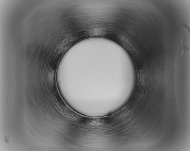 X0000100320550200806261229