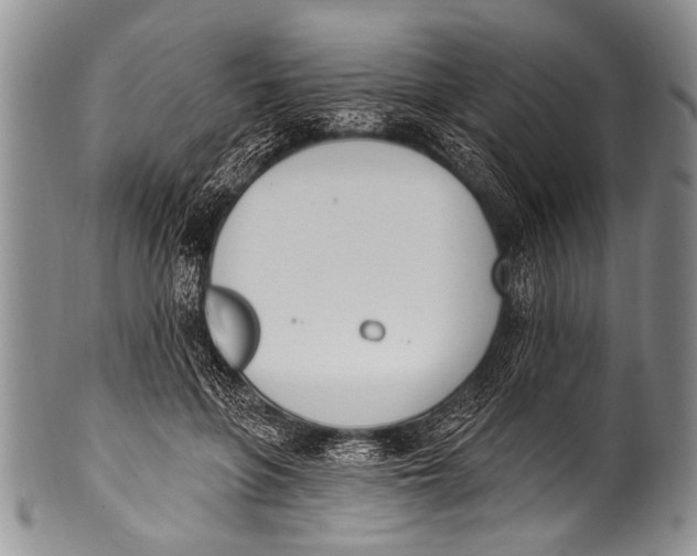 X0000100320551200806261229