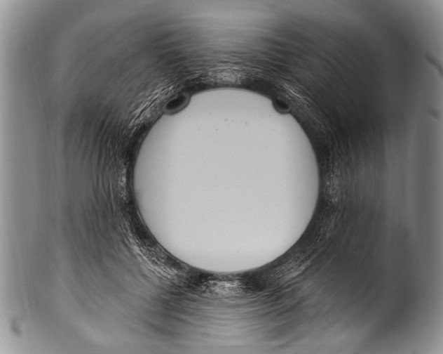 X0000100320552200806261229