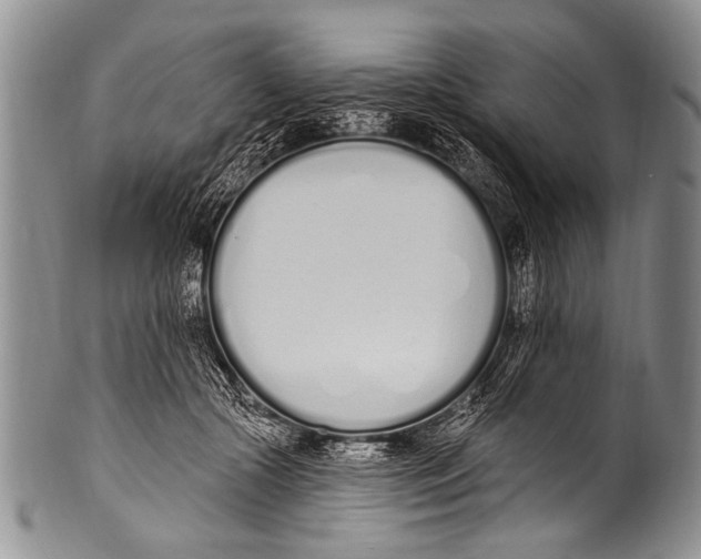 X0000100320553200806261229