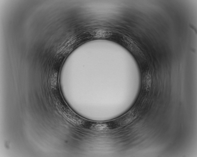 X0000100320554200806261229