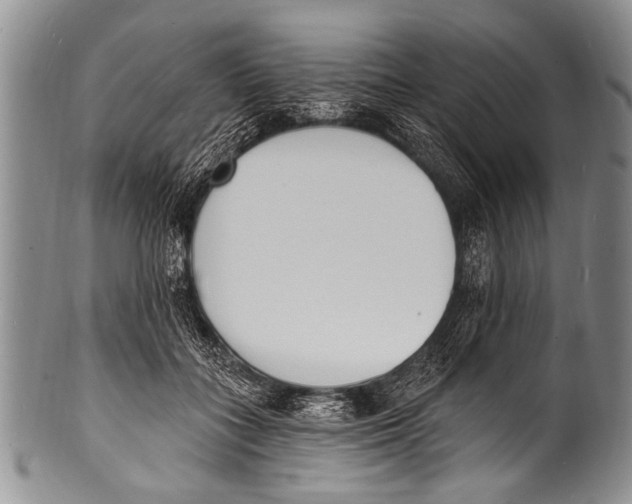 X0000100320555200806261229