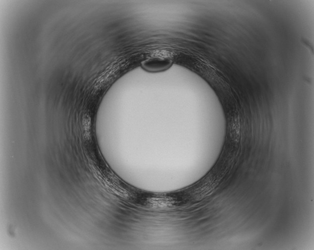 X0000100320556200806261229