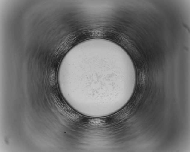 X0000100320557200806261229