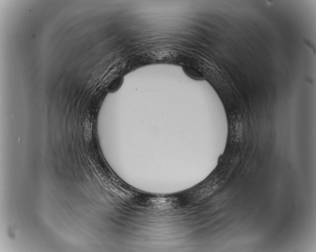 X0000100320558200806261229