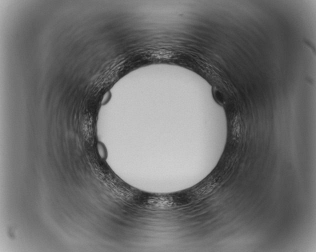 X0000100320559200806261229