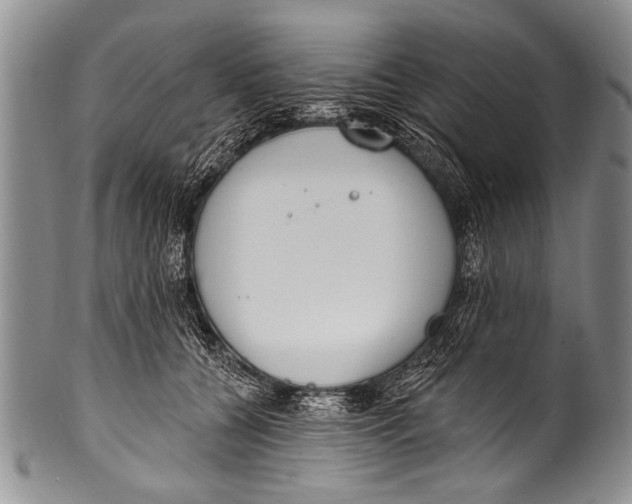 X0000100320560200806261229