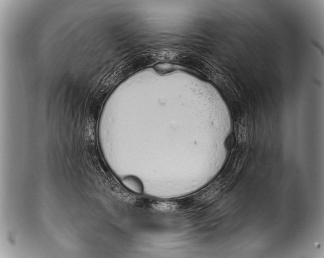 X0000100320561200806261229