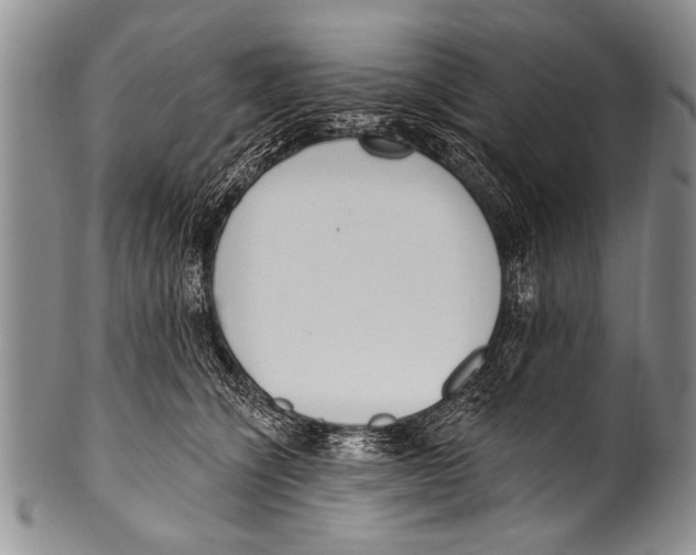 X0000100320564200806261229