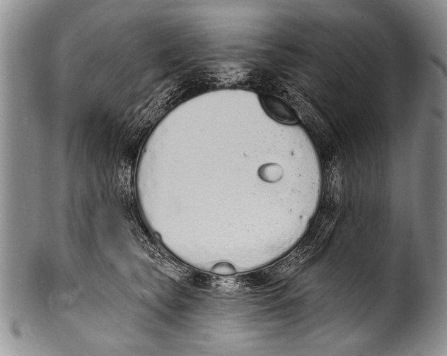 X0000100320565200806261229