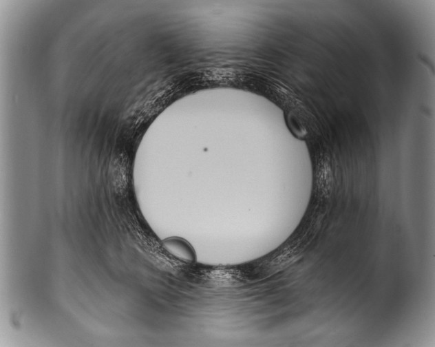 X0000100320566200806261229