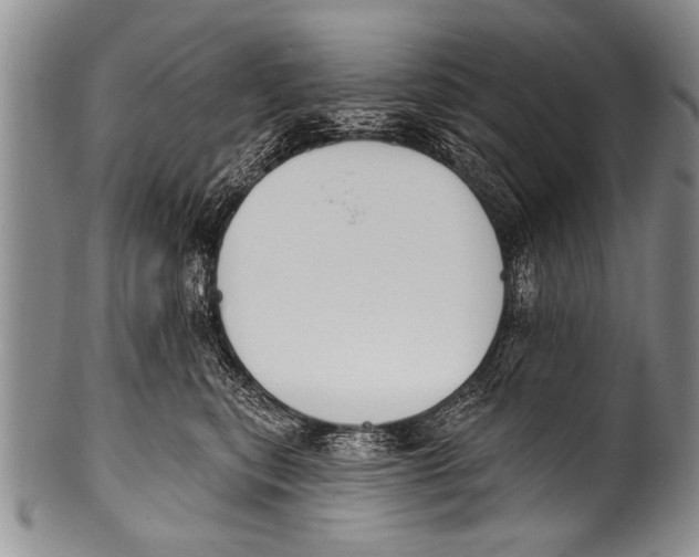 X0000100320567200806261229