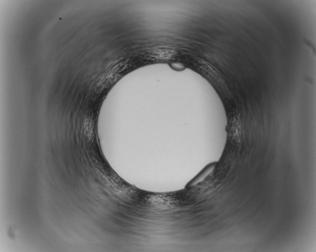 X0000100320568200806261229