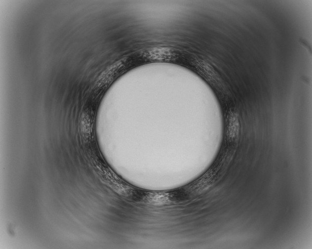 X0000100320569200806261229