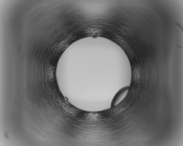 X0000100320570200806261229