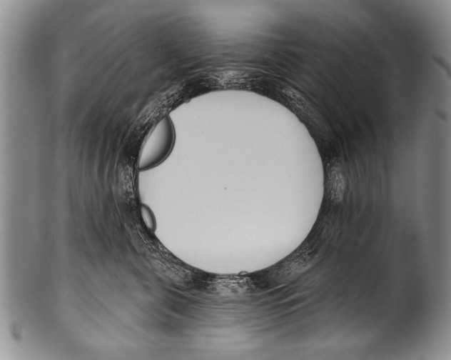 X0000100320571200806261229