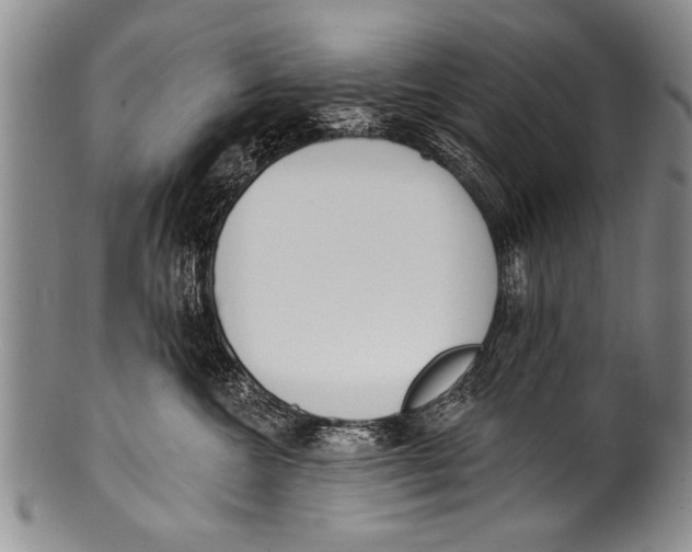 X0000100320572200806261229