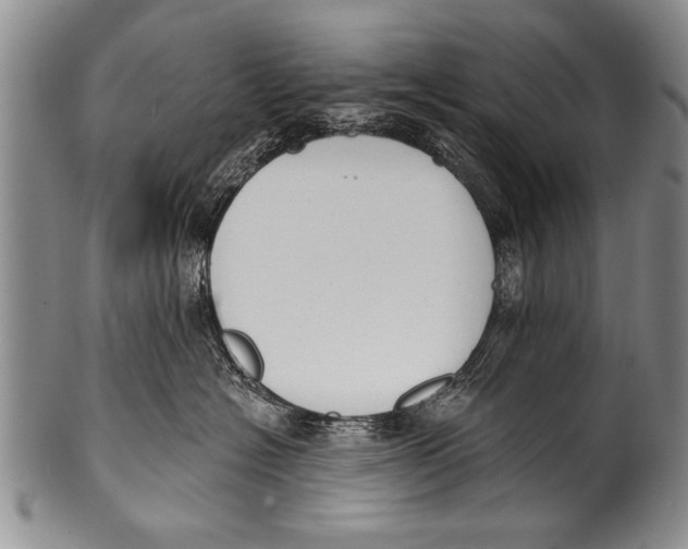 X0000100320574200806261229