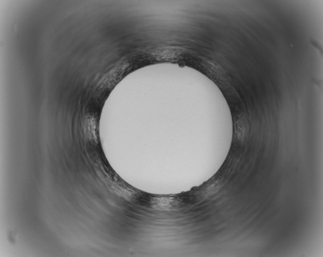 X0000100320575200806261229