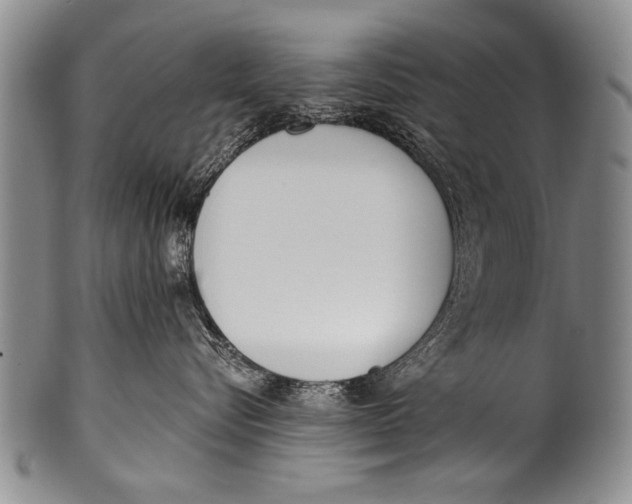 X0000100320576200806261229