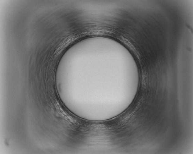 X0000100320577200806261228