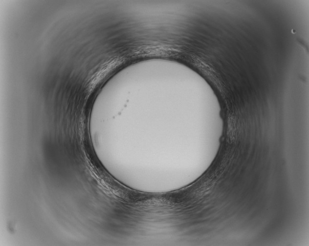 X0000100320578200806261228