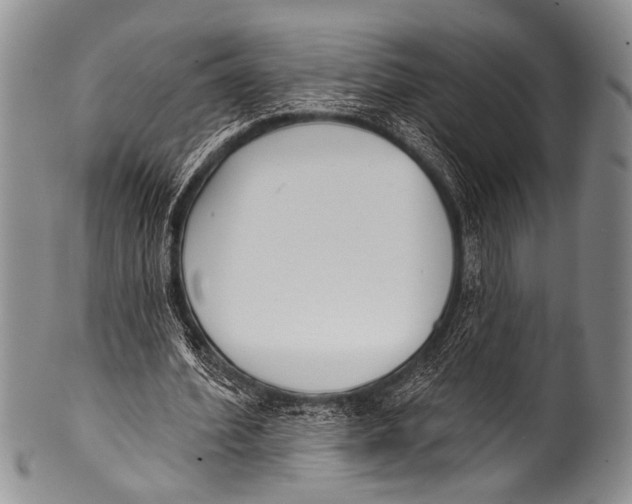 X0000100320580200806261228