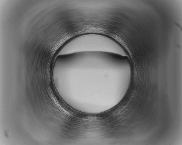 X0000100320581200806261228