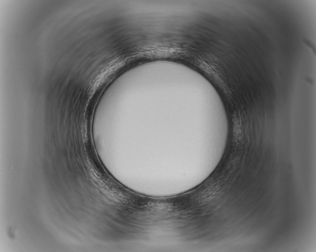 X0000100320582200806261228