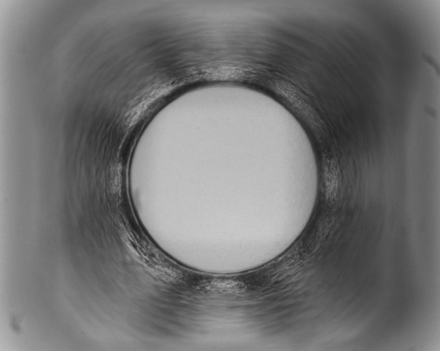 X0000100320583200806261228